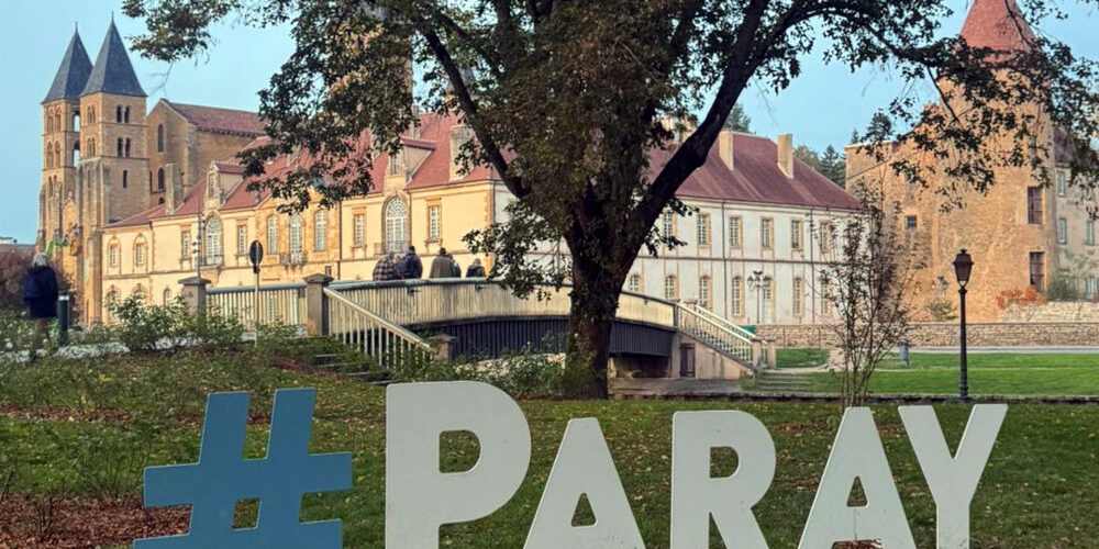 1137 a paraylemonial